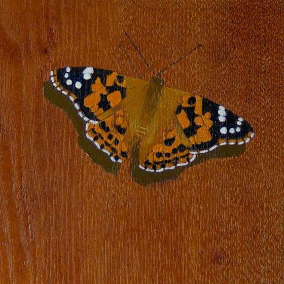 Painted Lady