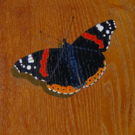 Red Admiral