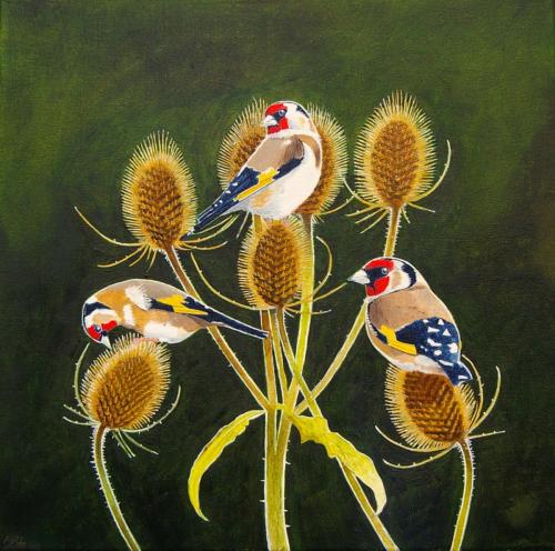 The Goldfinch V2