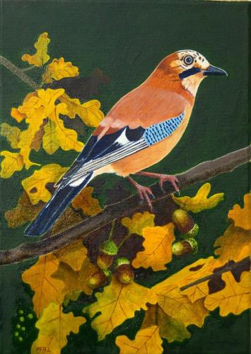The Jay