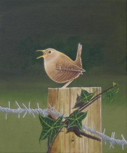 The Little Wren