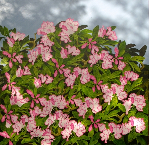 The Rhododendron tree