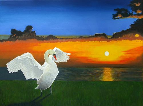 The Swan at Sunset