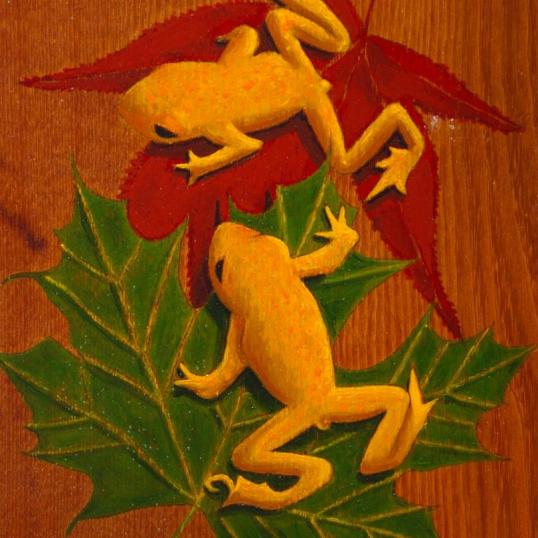 Two Frogs