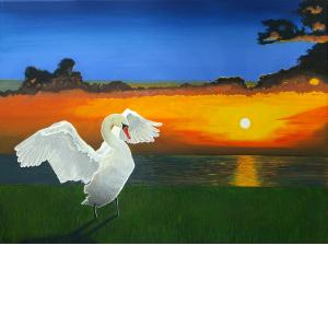 The Swan at Sunset