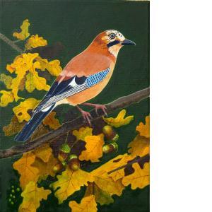 The Jay